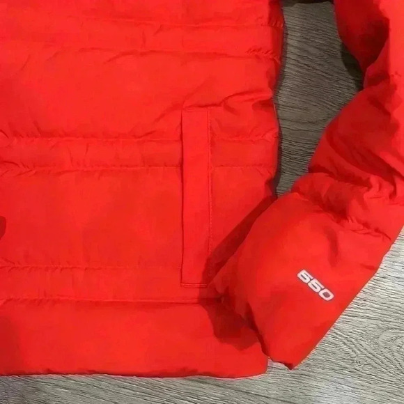 The North Face Big Kids’ Roxborough Jacket, Large (Size 12) - Picture 4 of 9